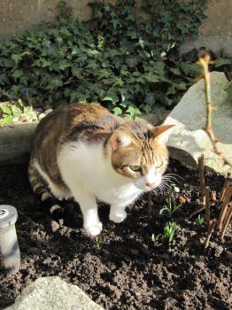 Hansel Bild von Hansel