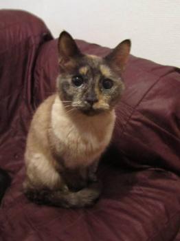 Mitze Bild von Mitze