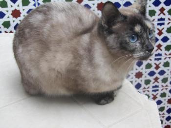 Mitze Bild von Mitze