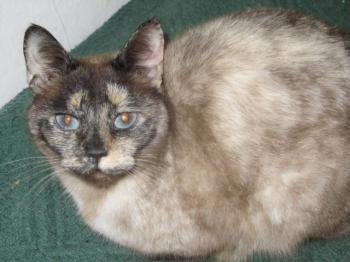 Mitze Bild von Mitze