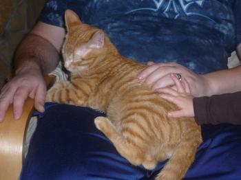Fry Bild von Fry