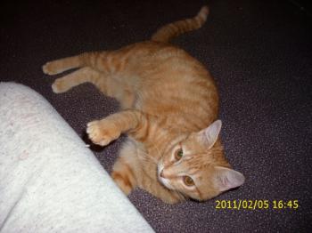 Nena Bild von Nena