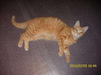 Nena Bild von Nena