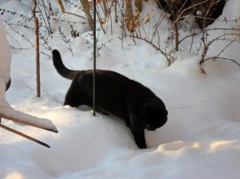 Nera Corleone Bild von Nera Corleone