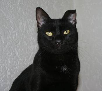 Bella Bild von Bella