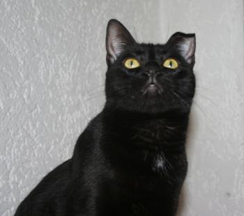 Bella Bild von Bella