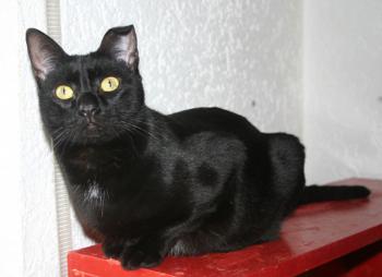 Bella Bild von Bella