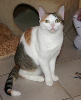 Polly Bild von Polly