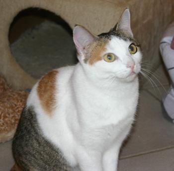 Polly Bild von Polly