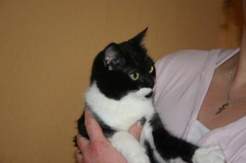 Bild von Hope