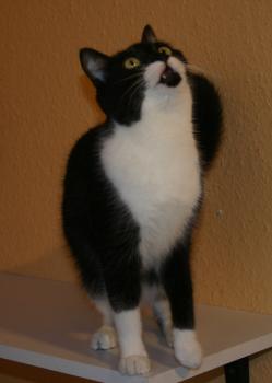 Bild von Hope