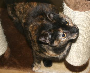 Bild von Tina