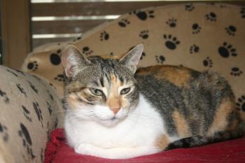 Lilou Bild von Lilou