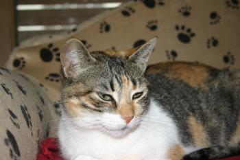 Lilou Bild von Lilou