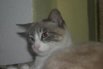 Flor Bild von Flor