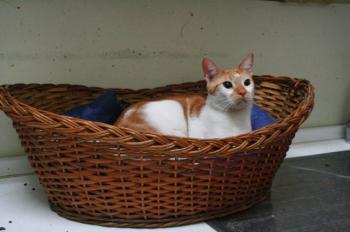 Tino Bild von Tino
