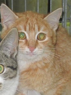 Ohne Namen 3877 Bild von Sam