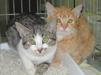 Ohne Namen 3877 Bild von Sam