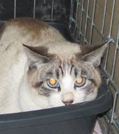 Ohne Namen 3881 Bild von Ramos