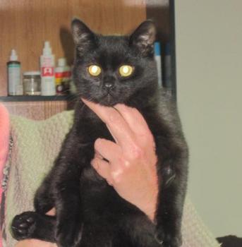 Salem Bild von Salem