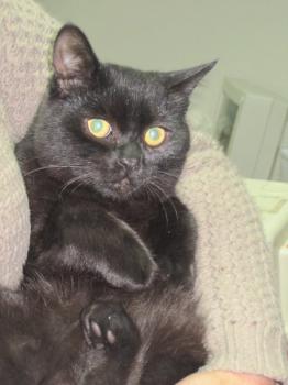 Salem Bild von Salem