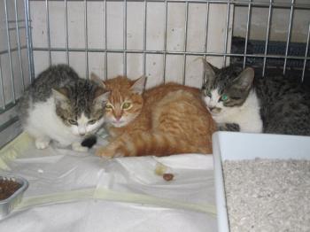 Ohne Namen 3877 Bild von Sam