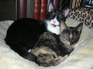 Fifi Bild von Fifi