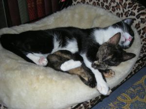 Fifi Bild von Fifi