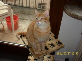 Nena Bild von Nena