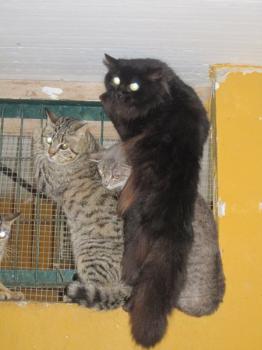 Ohne Namen Bild von Alice