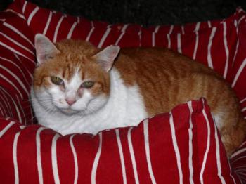 Bild von Cloe