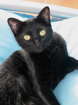 Lola Bild von Lola