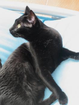 Lola Bild von Lola