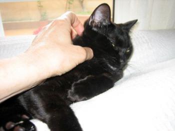 Lola Bild von Lola
