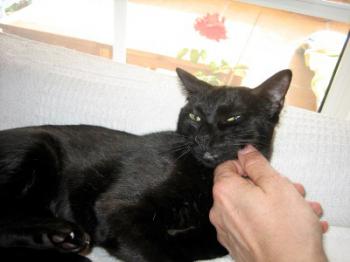 Lola Bild von Lola