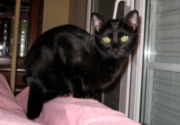 Lola Bild von Lola