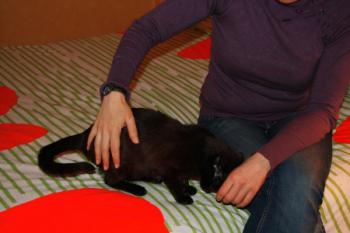 Bild von Minigo