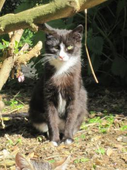 Jerry Bild von Jerry