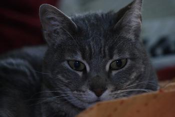 Nana Bild von Nana