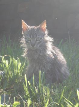 Bild von Canela