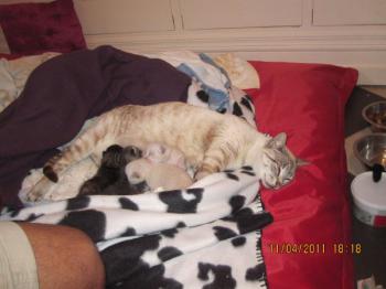 Mama Babies Bild von Mami-Buena