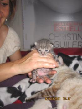 Mama Babies Bild von Mami-Buena