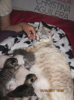 Mama Babies Bild von Mami-Buena