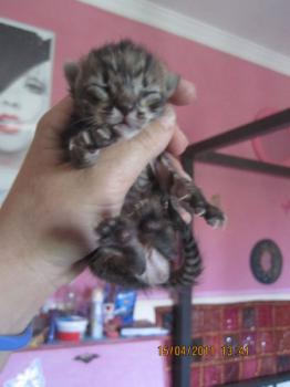 Mama Babies Bild von Mami-Buena
