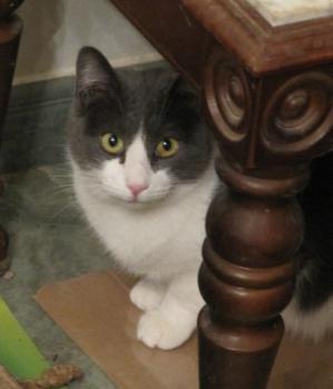 Vivi Bild von Vivi