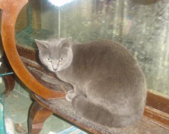Lumen Bild von Lumen