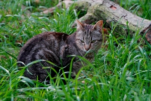 Barry Bild von Barry
