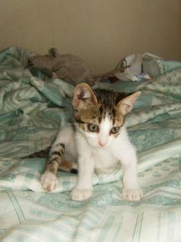 Pini Bild von Pini
