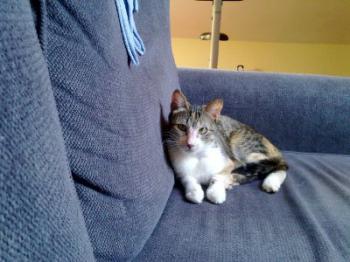 Arizona Baby Bild von Arizona Baby