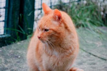 Duncan Bild von Duncan